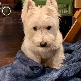 ありがとうございました✨の画像