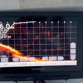 ライブスコープ34LSVの画像