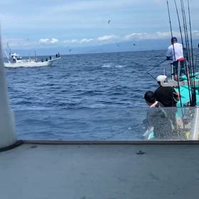 朝から跳ねまくり〜‼️の画像