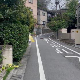 ハクビシンの画像