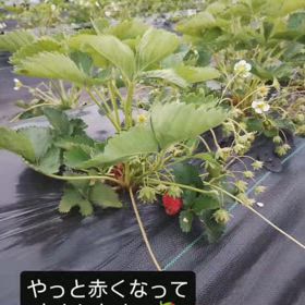 2025/05/31の画像