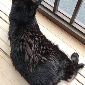 君に逢いたくなったらの画像