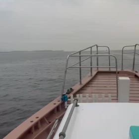 久し鰤に会いたいなぁーの画像