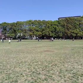 4/12 ジャベリックスロー⑧の画像