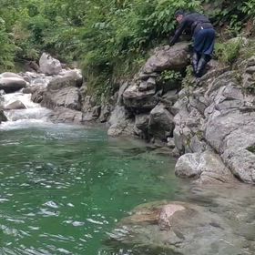 渓流で落ちるの画像