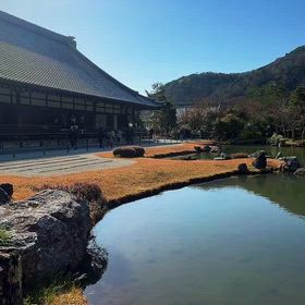 京都 天龍寺 日本庭園の風景リール動画の画像