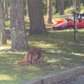 もう少しな妻の運転の画像