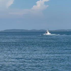 なかなか本命には出会えない。の画像