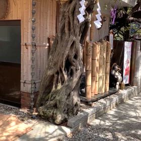 KIN27   青い手　青い手　音1の画像