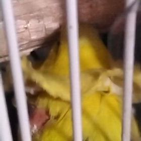 新しい年が始まりましたの画像