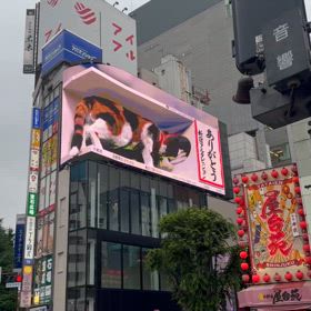 血圧を上げる。の画像