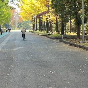 県駅伝選考会(スタート・ゴール付近)➂の画像