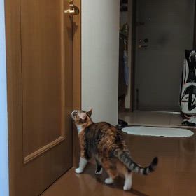 １０月６日（月）の  画像