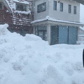 寒いよ～の画像