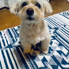 マッチョの画像