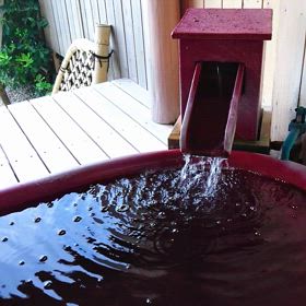 今年も宜しくお願いしますの画像