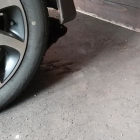 黒猫ちゃん動画の画像