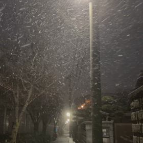 あいにくの天気ですが、選挙結果を見て後悔しないように、#必ず選挙に行きましょう！の画像