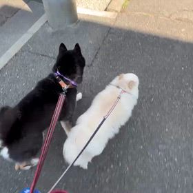 なかなかでしたの画像