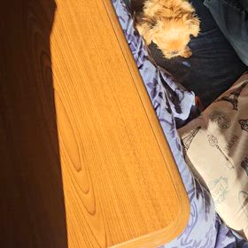 あたちがまもってあげるからねの画像