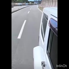 マリーゴールドの画像