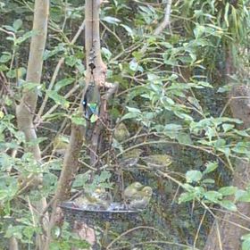 大盛況☆の画像