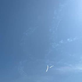 ブルーインパルスの画像