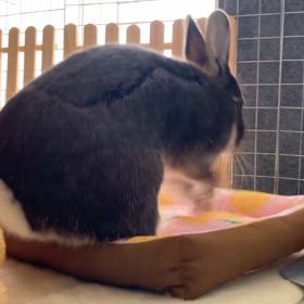 お薬卒業できず｡｡｡(T-T)の画像