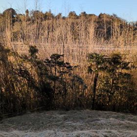 心配されちゃったの画像