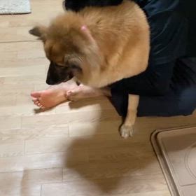 スイッチの画像