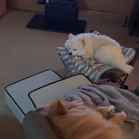 動画を流してもの画像