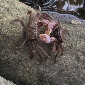 仁義なき闘いつづきの画像