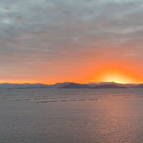 2024/10/21穏やかな瀬戸内の朝陽(動画)の画像