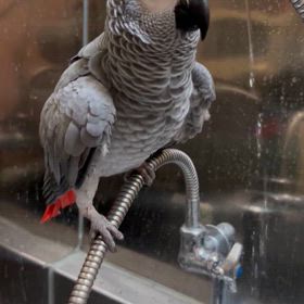 明日から3連休ってヤツでしょ！！の画像