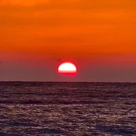 ただそこに在るだけでの画像