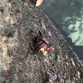 ひたすらお食事中の画像