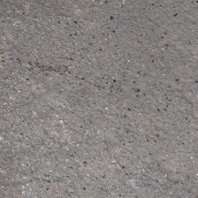 これも季節の特徴なのかな？の画像