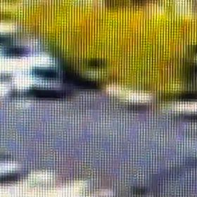 車庫から出入りするのに路駐占有の画像