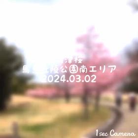 2024/03/02の画像
