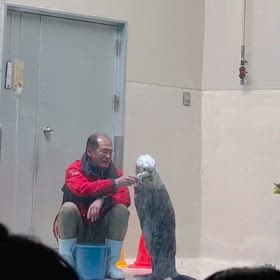 すももにもみせてあげたかった❣️の画像