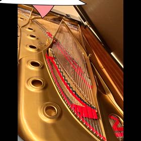 2月出演スケジュールの画像