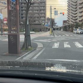 ひょう？の画像