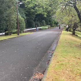 9/16 リレー選考会①の画像