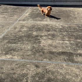 もしもの時のためにの画像