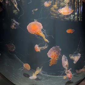 トースター　ご臨終の画像