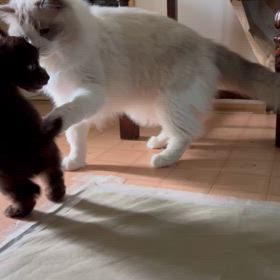 名前が思い付かず友人に託すの画像