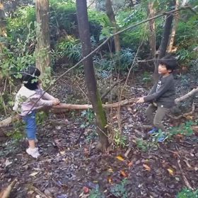 20241027秋の名草山で遊ぼう~活動の様子(動画)~の画像