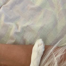 下僕なおかしゃんの画像