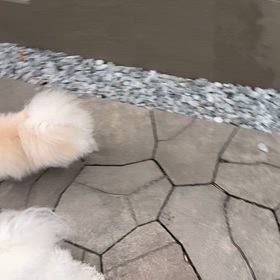 今日は投資　の画像