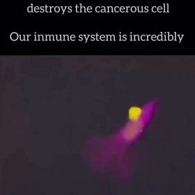 2127Hz  UfosundLichtschiffe/37528の画像